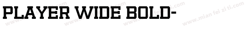 Player Wide Bold字体转换